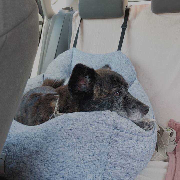 F900e70c ea9f 4489 8e20 663e47e3200d 1622360016041