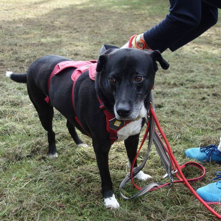 F90123dd 3060 4764 a16c 25457b5a4bff 1697243441287