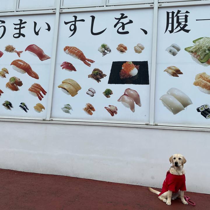 F90148d8 b710 441f 9f91 dd5eeb1ad8fd 1619063405888