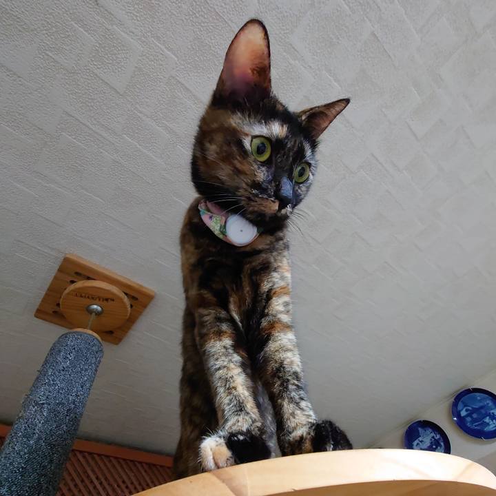 F9014f68 435a 4dbd af13 fd480329e1e7 1635860133959