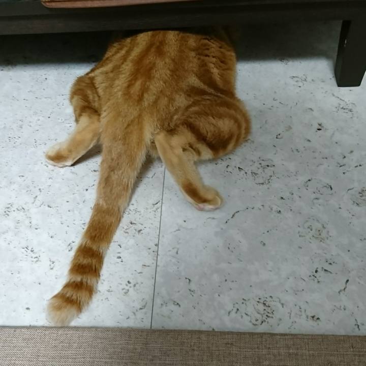 F9015091 e2d6 4915 bb10 c5890fdbe384 1530408814214