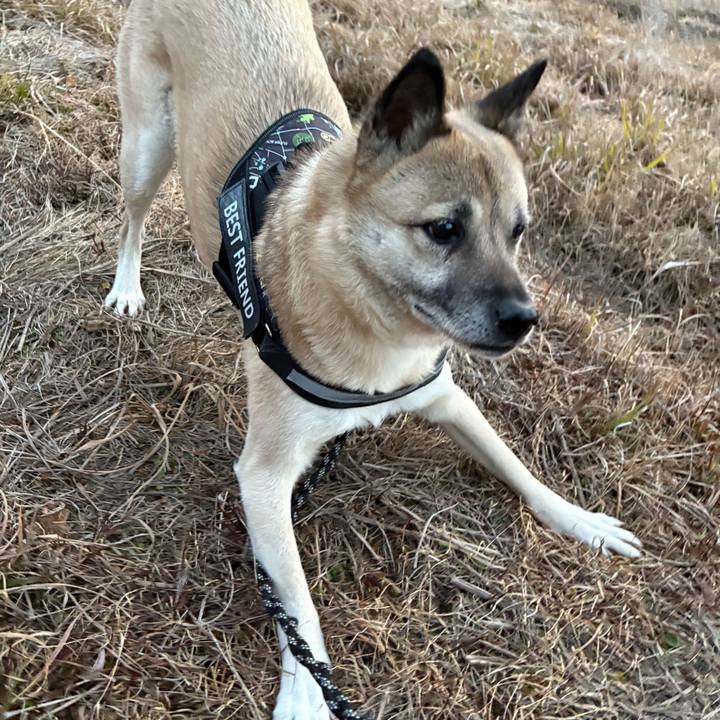 F901627d d9b2 46ae bea9 c54d95c67d07 1739881506517