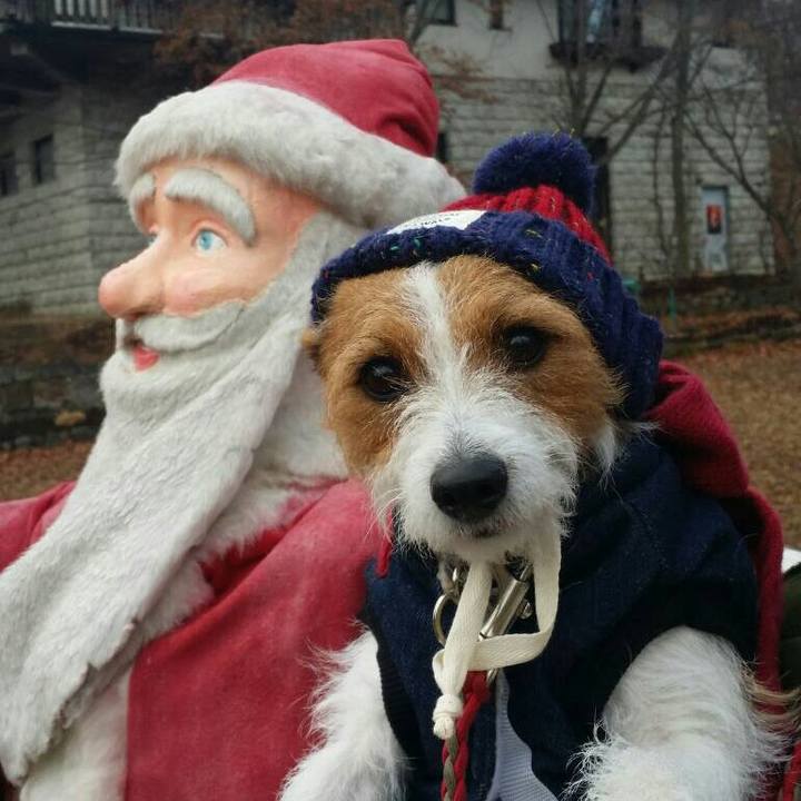 F901d3ff ddd6 4591 9b60 4aaab3e7dc9c 1545593338358