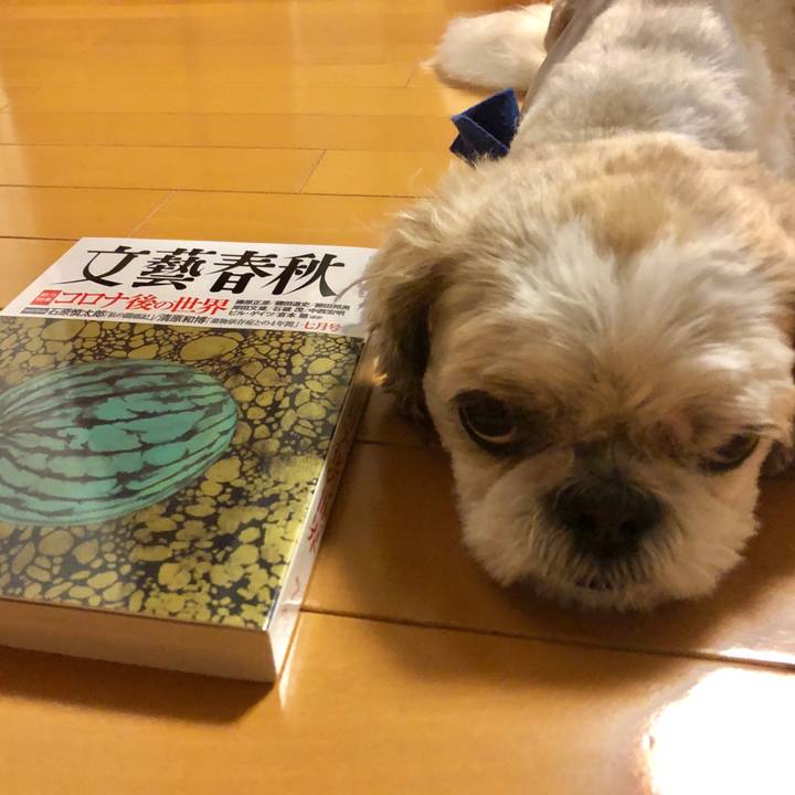 F901e1cd 6a5e 4932 9b97 a8a55ae693c0 1592171238432