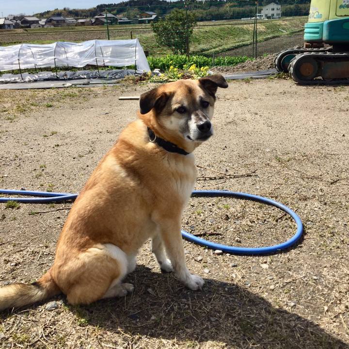 F901f6e4 6077 4240 af0d f7180eaef350 1521898720872