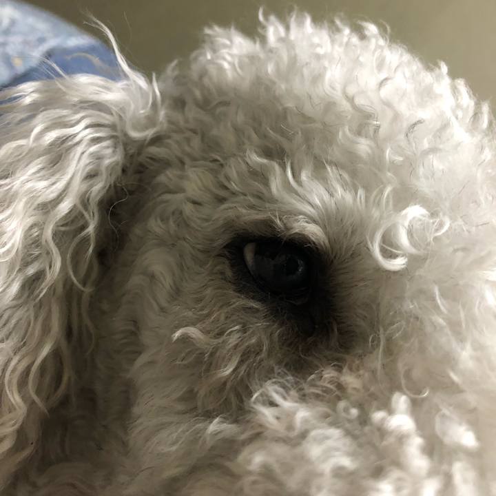 F902097f 7b68 44dd bbf3 4309629fbe1a 1643461418479