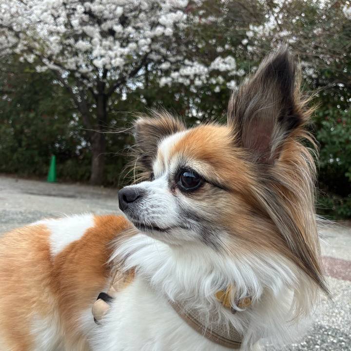 F902185c f285 47f8 91c1 fb3b0a39adfc 1774749902746