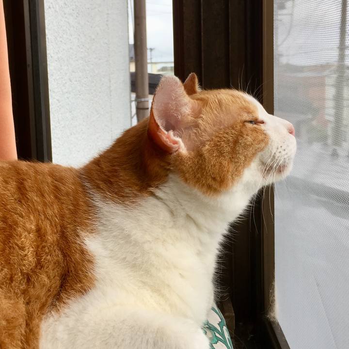 F902350c ed2b 4f93 8b25 2d4749eca6b0 1563955667845