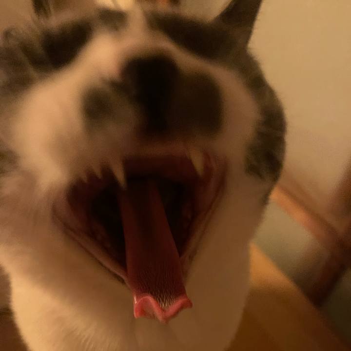 F9024573 941a 4f75 a864 fe0e4f0dc8f8 1741434113473