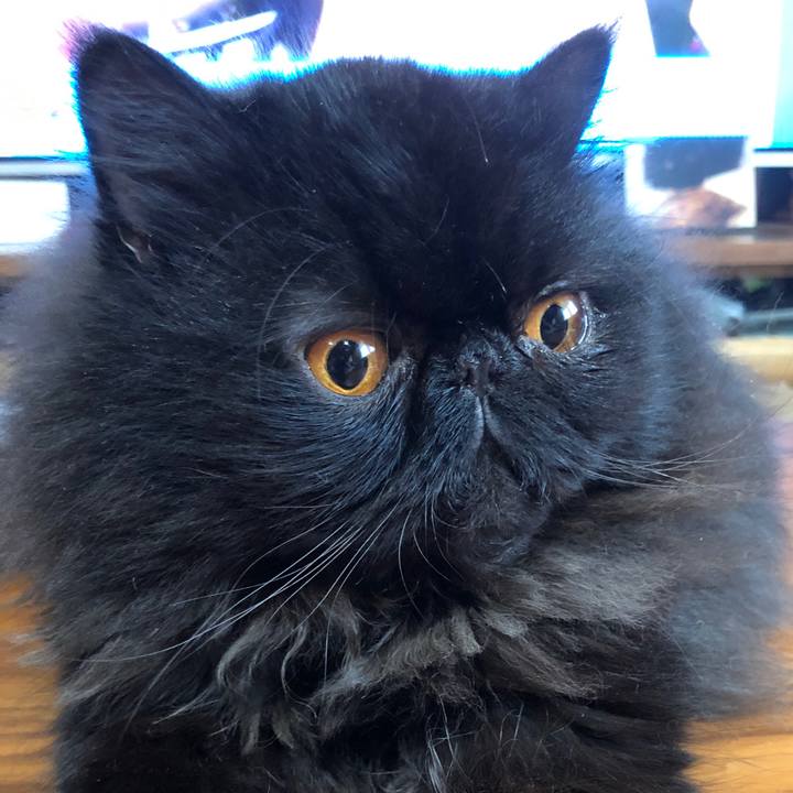 F9026226 9018 4a60 8595 a53172808e39 1561770860599