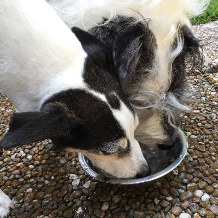 F902864b c67e 45da 8e97 b329903a74cd 1560169461622