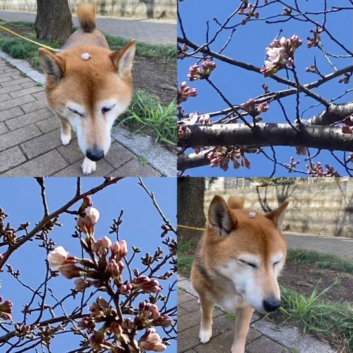 F9029038 d9f6 4295 957a 45d0c37224f2 1647750462119