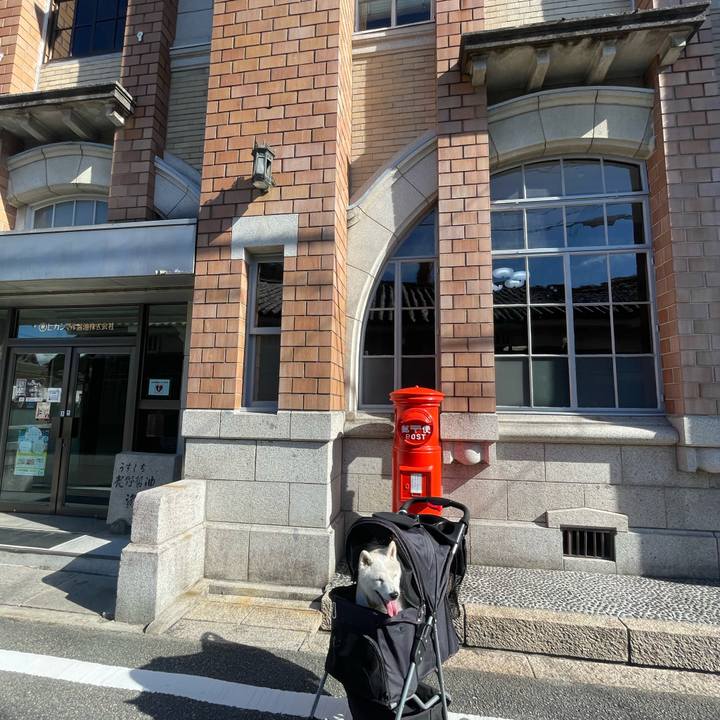 F90298b5 c1fe 4903 a776 ccb5a6aa5790 1753100618684