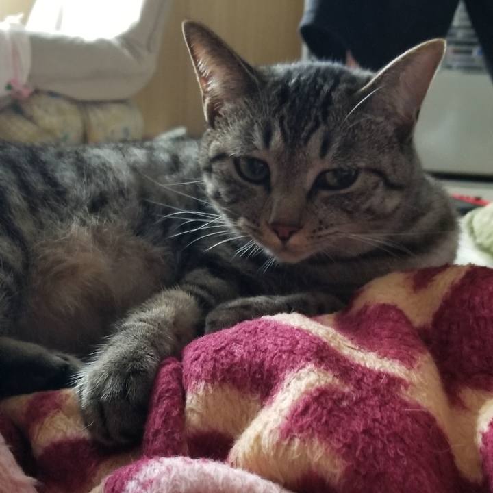 F9029cd5 663c 465a a10e 0a5c56f5d7a7 1690262058536