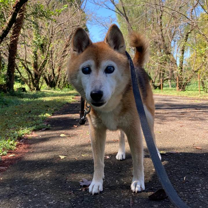 F902dec4 a8f1 4b03 8e9c 545e62b871c0 1757131090592