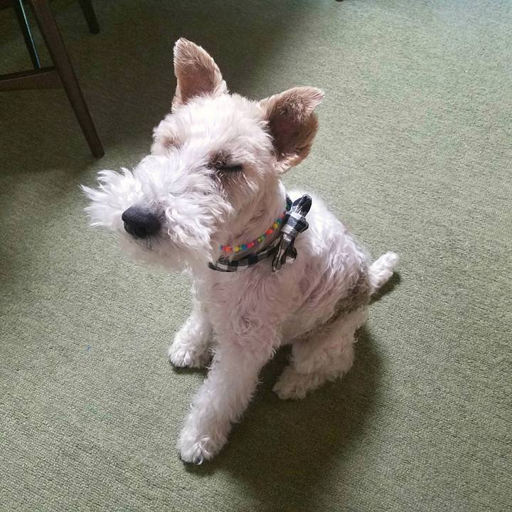 F903050c 20d6 4e36 9197 8ed39345937d 1526339123854