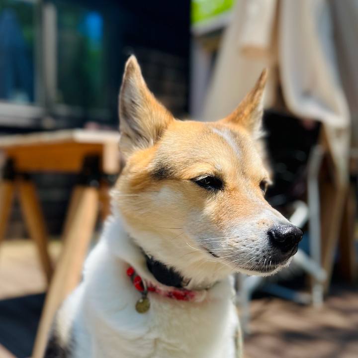 F90316c0 4cc7 42b1 80c0 59507e5f9c4b 1783570450419