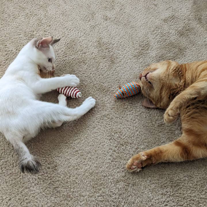 F9031cd7 f9be 41ea a4f6 b08e92003c78 1689822174794