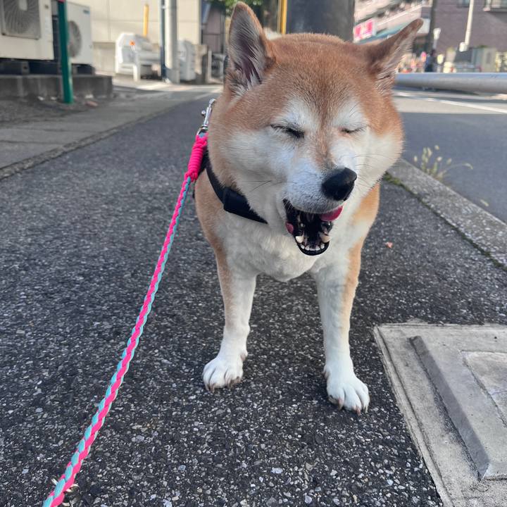 F9034409 13c5 4e3a 9202 b1cc083962be 1698558915647