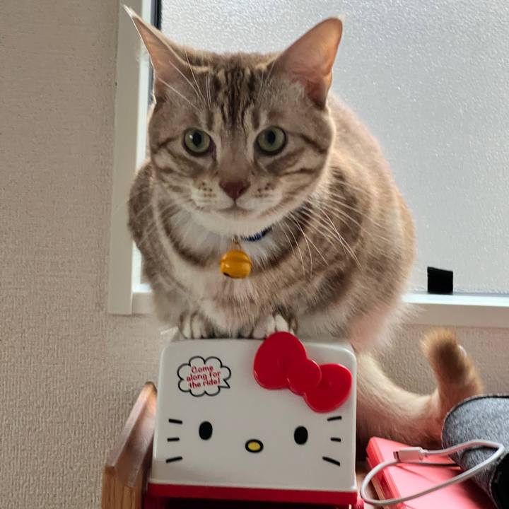 F9037f73 20b6 4395 8a36 600084d3c4ab 1729860292803