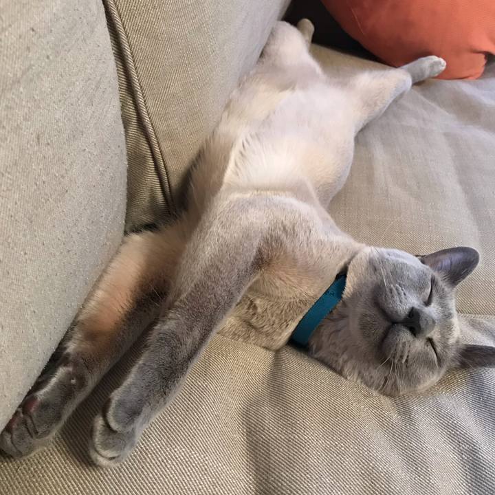 F9039dd8 bf6f 4d1f adc9 2649a56aa2c2 1561470082130