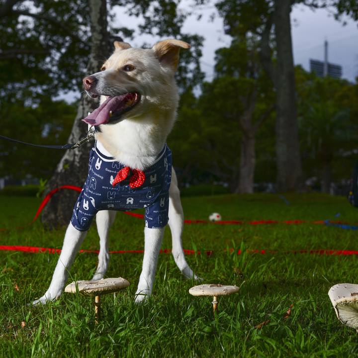 F9039ec4 e455 4b3c 8d46 db7eb274b196 1537719407716