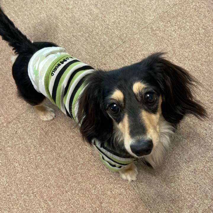 F903a72b 68a2 4e81 883d 4f2c6f5bb217 1713415733959