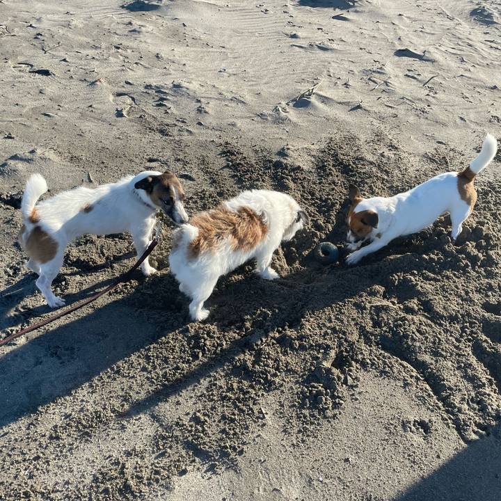 F903da4d d117 47e7 a891 194075b35656 1727132927895