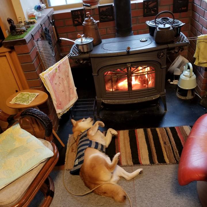 F9040a4a bee5 4125 ad95 1219aaa2bd35 1580080436237