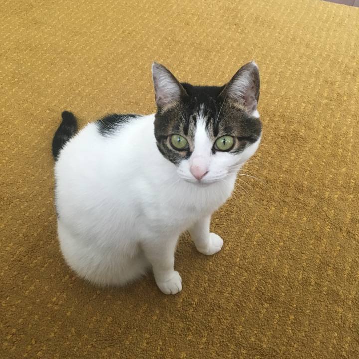 F9042243 e995 4a21 8678 60bf2572601f 1587547580751