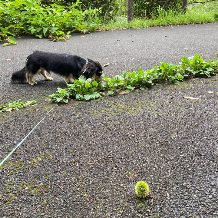 F9042874 0305 47ad b38e 8e78470da212 1721263793390