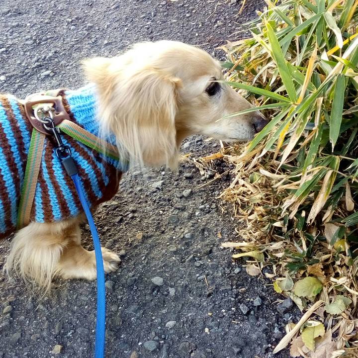 F9046162 6a3c 45a5 a8b8 88c05dbd2deb 1548143897270