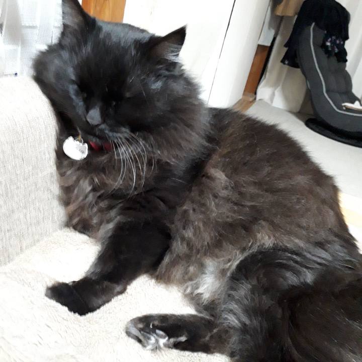 F9048c53 7cc2 45fc 9b5f f15be6800ec3 1521541143529