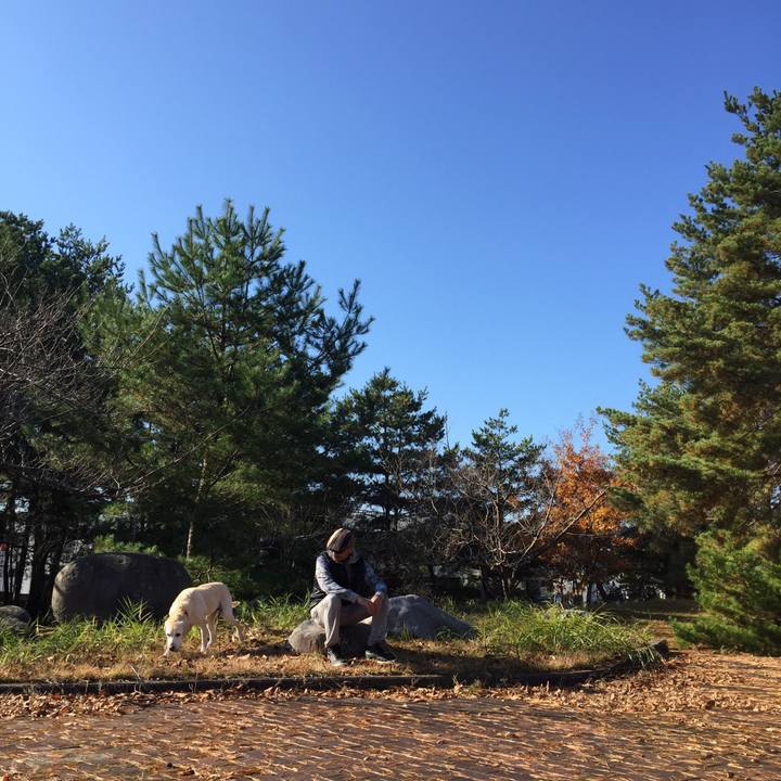 F904a643 b3ef 4ea3 9ff6 e2b76e8dcf89 1551872522638