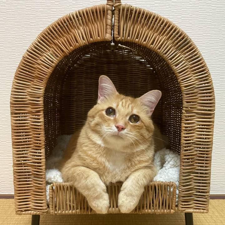 F904a65f 2b6f 4b89 b1ad abaeb030abd9 1760355020047