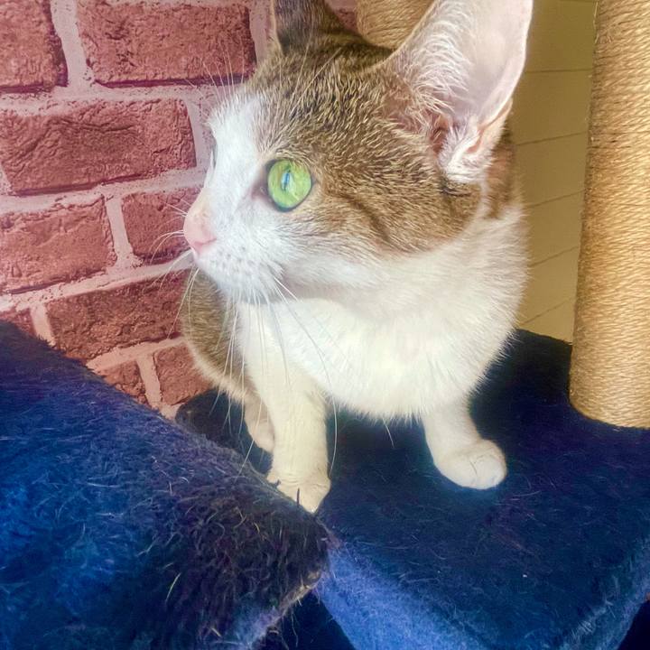 F904a821 e222 4dff b8a9 8e5bab70ab00 1632014962434