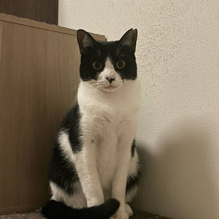 F904e0d6 eb38 4a4b a448 867f267cf7c0 1697141637250