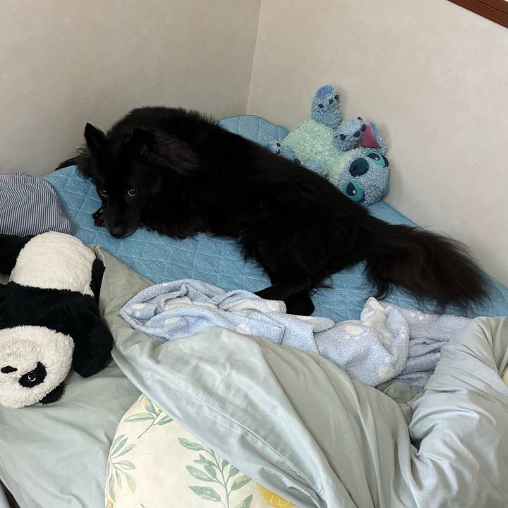 F90524cf 1b7f 413b b11a 5ae03d56263d 1758671643803