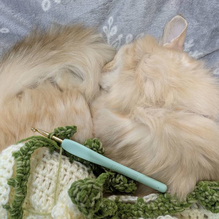 F905969a 3392 4052 9569 d0a149c4cc7a 1764047240551