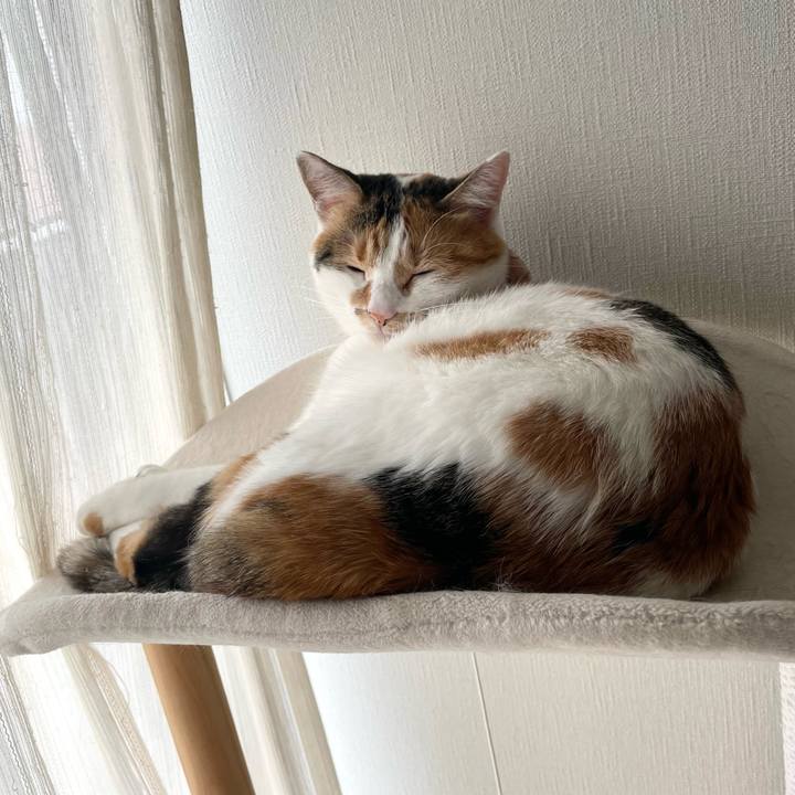 F9059917 6cc7 4706 a41d 867c7dd23039 1635811653189