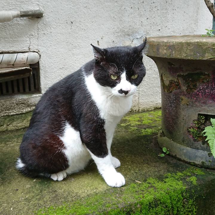 F9059a8c 889c 4e73 9feb 2c9f05146af3 1595572714506