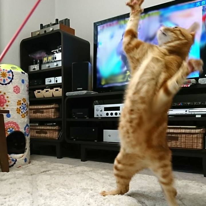 F905f274 eec6 49f6 bafa 53fd827f5913 1527082804495