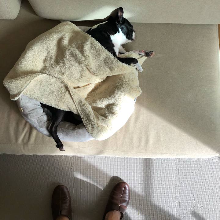 F905f831 fa3a 406d 8442 82a799af8d36 1632802507705