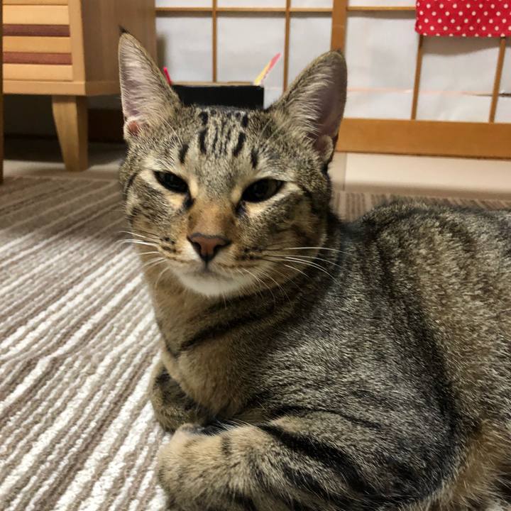 F90621cb ae9c 435f a477 6ca7df5b9cd0 1541255130131