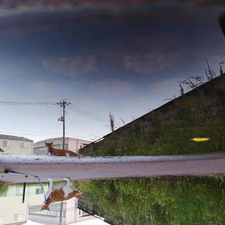 F90627b7 f50f 48c2 97e0 7551719b622c 1559991519473