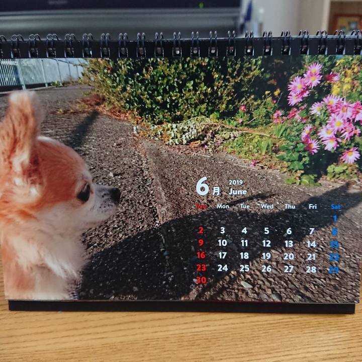 F9064a09 4ef0 464c ac8d f0cbb9f2bdb2 1559382832236