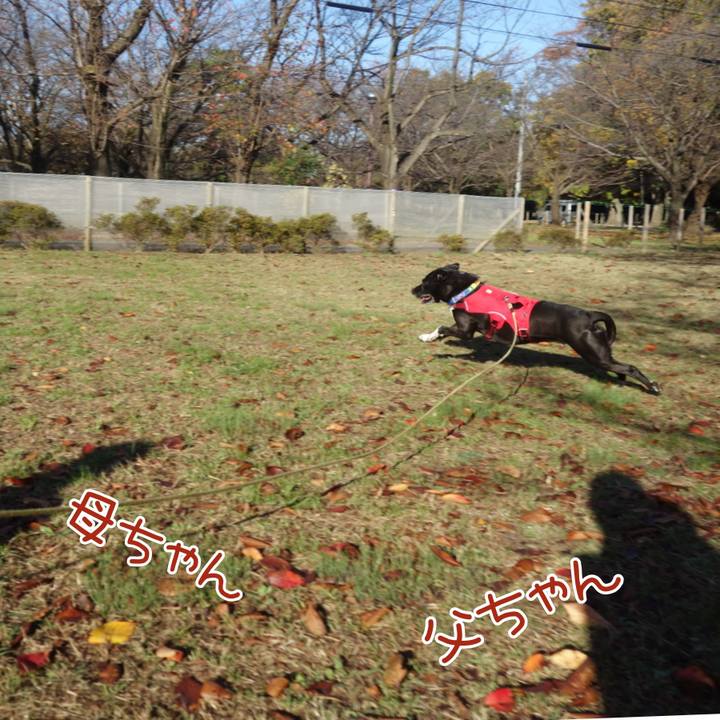 F906667a 7d30 4e03 b732 bfd2d15703a8 1668645910682