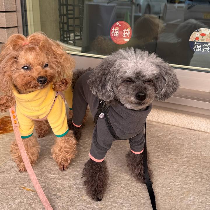 F9068823 f61b 4dea a651 acff6b3fdbca 1767398994918