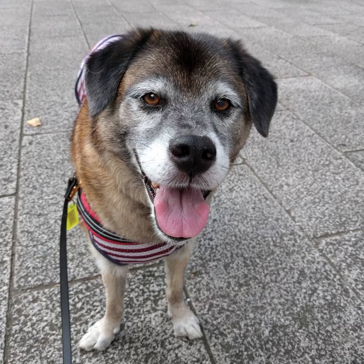 F9069aa0 9e1c 4a86 9504 a055aba34e3e 1533255758043