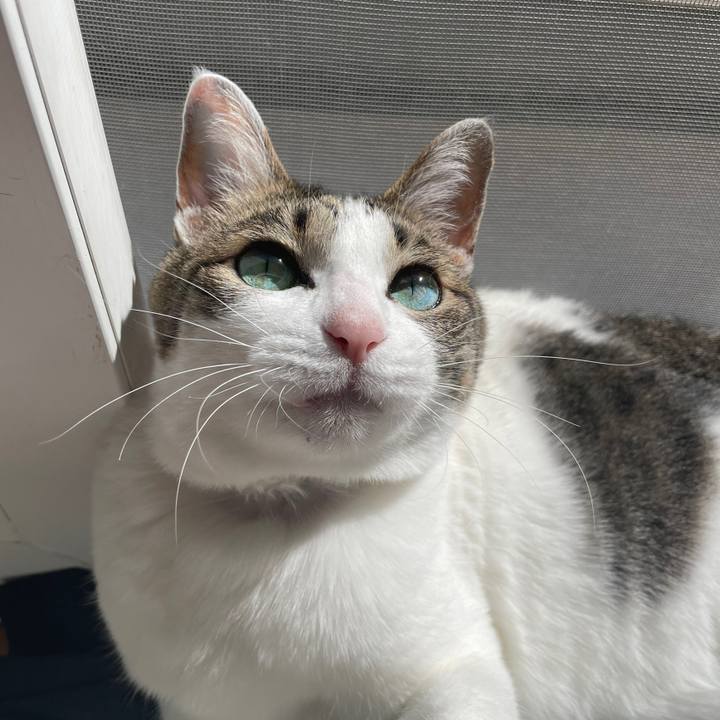 F906eb6d 789e 4bcb 9593 a5c75f1df295 1647351227002